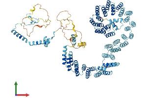 AlphaFold protein structure predicition of Human Recombinant PRPF6 Protein, UniprotID O94906