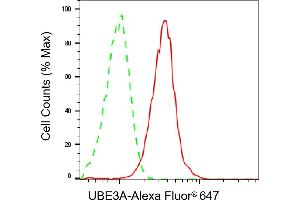 Flow cytometric analysis of UBE3A expression in HepG2 cells using UBE3A antibody (ABIN7800723), 1:2,000). (Recombinant ube3a anticorps)