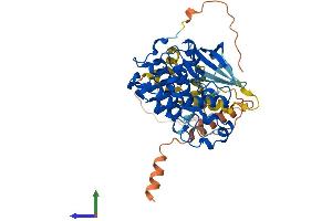 AlphaFold protein structure predicition of Mouse Recombinant Cdk18 Protein, UniprotID Q04899