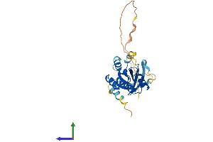 AlphaFold protein structure predicition of Mouse Recombinant Rab26 Protein, UniprotID Q504M8