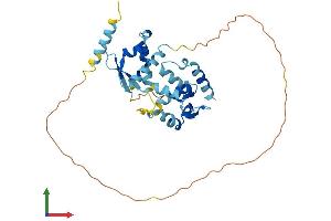 AlphaFold protein structure predicition of Human Recombinant MAGEB2 Protein, UniprotID O15479