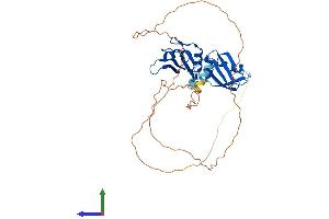 AlphaFold protein structure predicition of Human Recombinant HNRNPA1 Protein, UniprotID P09651