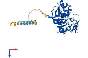 AlphaFold protein structure predicition of Human Recombinant ST6GALNAC3 Protein, UniprotID Q8NDV1