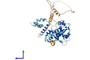 AlphaFold protein structure predicition of Mouse Recombinant Mael Protein, UniprotID Q8BVN9