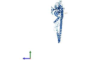 AlphaFold protein structure predicition of Mouse Recombinant Trim72 Protein, UniprotID Q1XH17