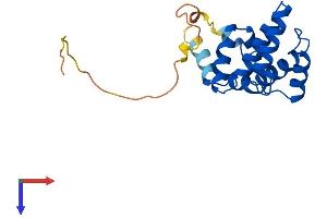 AlphaFold protein structure predicition of Human Recombinant RGS8 Protein, UniprotID P57771