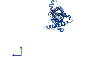 AlphaFold protein structure predicition of Human Recombinant SC5D Protein, UniprotID O75845