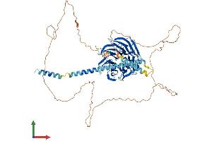 AlphaFold protein structure predicition of Human Recombinant NEDD1 Protein, UniprotID Q8NHV4