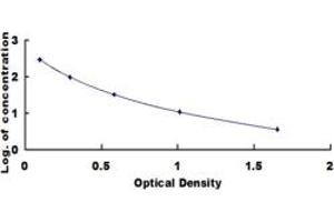 Endomorphin 2 ELISA Kit
