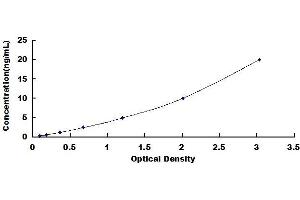 Typical standard curve (CAMKII gamma Kit ELISA)