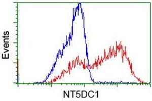 Image no. 5 for anti-5'-Nucleotidase Domain Containing 1 (NT5DC1) antibody (ABIN1499836)