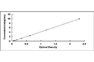 Typical standard curve (IKBKB Kit ELISA)