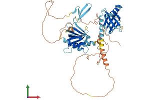 AlphaFold protein structure predicition of Mouse Recombinant Apbb3 Protein, UniprotID Q8R1C9