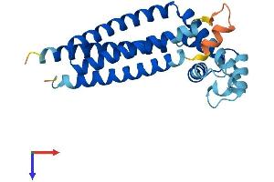 AlphaFold protein structure predicition of Human Recombinant CD81 Protein, UniprotID P60033