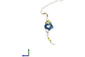 AlphaFold protein structure predicition of Human Recombinant MS4A8 Protein, UniprotID Q9BY19