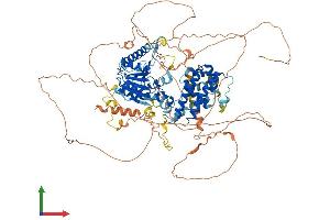 AlphaFold protein structure predicition of Mouse Recombinant Kansl3 Protein, UniprotID A2RSY1