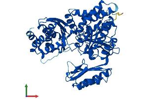 AlphaFold protein structure predicition of Mouse Recombinant Pgm3 Protein, UniprotID Q9CYR6