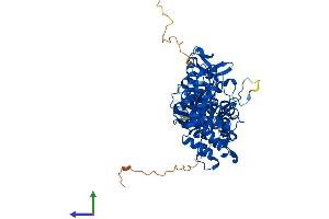 AlphaFold protein structure predicition of Human Recombinant SAMHD1 Protein, UniprotID Q9Y3Z3