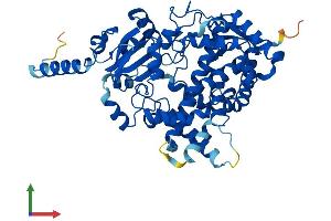 AlphaFold protein structure predicition of Human Recombinant CYP3A5 Protein, UniprotID P20815
