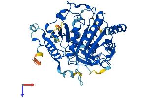 AlphaFold protein structure predicition of Mouse Recombinant Gdpgp1 Protein, UniprotID Q3TLS3