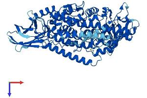 AlphaFold protein structure predicition of Human Recombinant ALOX12 Protein, UniprotID P18054