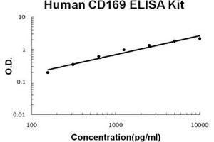 Human CD169/SIGLEC-1 PicoKine ELISA Kit standard curve