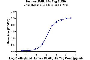 Immobilized Human uPAR, hFc Tag at 1 μg/mL (100 μL/well) on the plate.