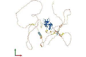 AlphaFold protein structure predicition of Mouse Recombinant Etv3 Protein, UniprotID Q8R4Z4