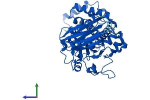 AlphaFold protein structure predicition of Human Recombinant SEC14L3 Protein, UniprotID Q9UDX4