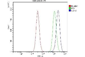 Flow Cytometry analysis of PC-3 cells using anti-K Cadherin/CDH6 antibody (ABIN7600136).