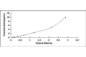 Typical standard curve (AIRE Kit ELISA)