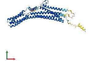 AlphaFold protein structure predicition of Mouse Recombinant Ttyh1 Protein, UniprotID Q9D3A9