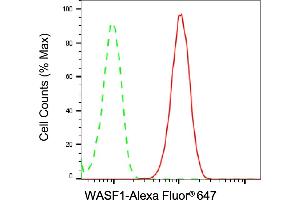 Flow cytometric analysis of WASF1 expression in C2C12 cells using WASF1 antibody (ABIN7800851), 1:2,000).