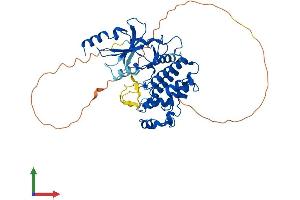 AlphaFold protein structure predicition of Human Recombinant CDK8 Protein, UniprotID P49336