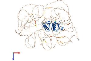 AlphaFold protein structure predicition of Human Recombinant IRS1 Protein, UniprotID P35568