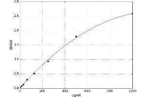 A typical standard curve