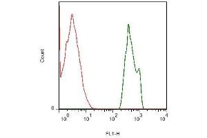 Mouse liver cells probed with Rabbit Anti-NTCP/SLC10A1 Polyclonal Antibody, FITC Conjugated (ABIN675908-FITC) (green) at 1:50 for 40 minutes compared to control cells (red).