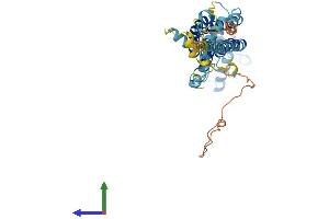 AlphaFold protein structure predicition of Human Recombinant PANX1 Protein, UniprotID Q96RD7