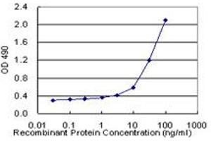 Sandwich ELISA detection sensitivity ranging from 3 ng/mL to 100 ng/mL.