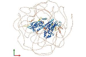 AlphaFold protein structure predicition of Human Recombinant ARHGEF5 Protein, UniprotID Q12774