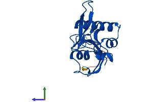 AlphaFold protein structure predicition of Human Recombinant PIN1 Protein, UniprotID Q13526