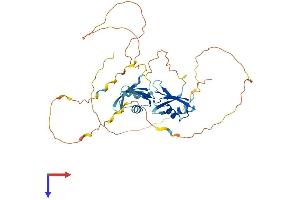 AlphaFold protein structure predicition of Mouse Recombinant Dazap1 Protein, UniprotID Q9JII5