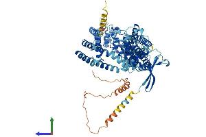 AlphaFold protein structure predicition of Mouse Recombinant Trpv5 Protein, UniprotID P69744
