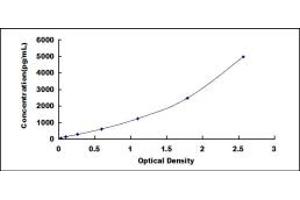 Typical standard curve (MMRN2 Kit ELISA)