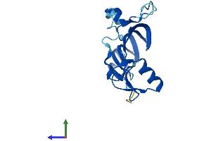 AlphaFold protein structure predicition of Human Recombinant MORN5 Protein, UniprotID Q5VZ52