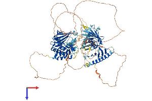 AlphaFold protein structure predicition of Mouse Recombinant Plk4 Protein, UniprotID Q64702