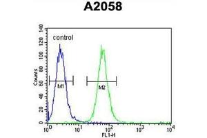 ABHEB Antibody (C-term) flow cytometric analysis of A2058 cells (right histogram) compared to a negative control cell (left histogram). (ABHD14B anticorps  (C-Term))