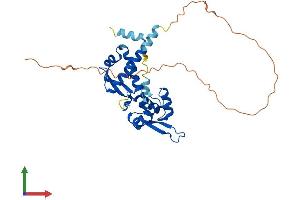 AlphaFold protein structure predicition of Human Recombinant MAGEA1 Protein, UniprotID P43355