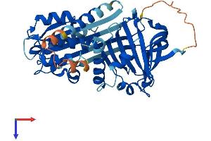 AlphaFold protein structure predicition of Human Recombinant SERPINB13 Protein, UniprotID Q9UIV8