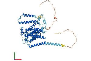 AlphaFold protein structure predicition of Human Recombinant PTDSS2 Protein, UniprotID Q9BVG9
